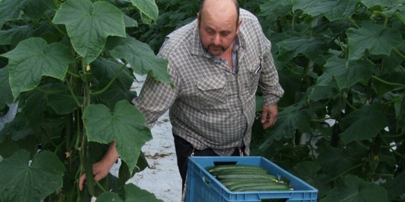 Mark Caffarelli of Floral Farm’s Produce.