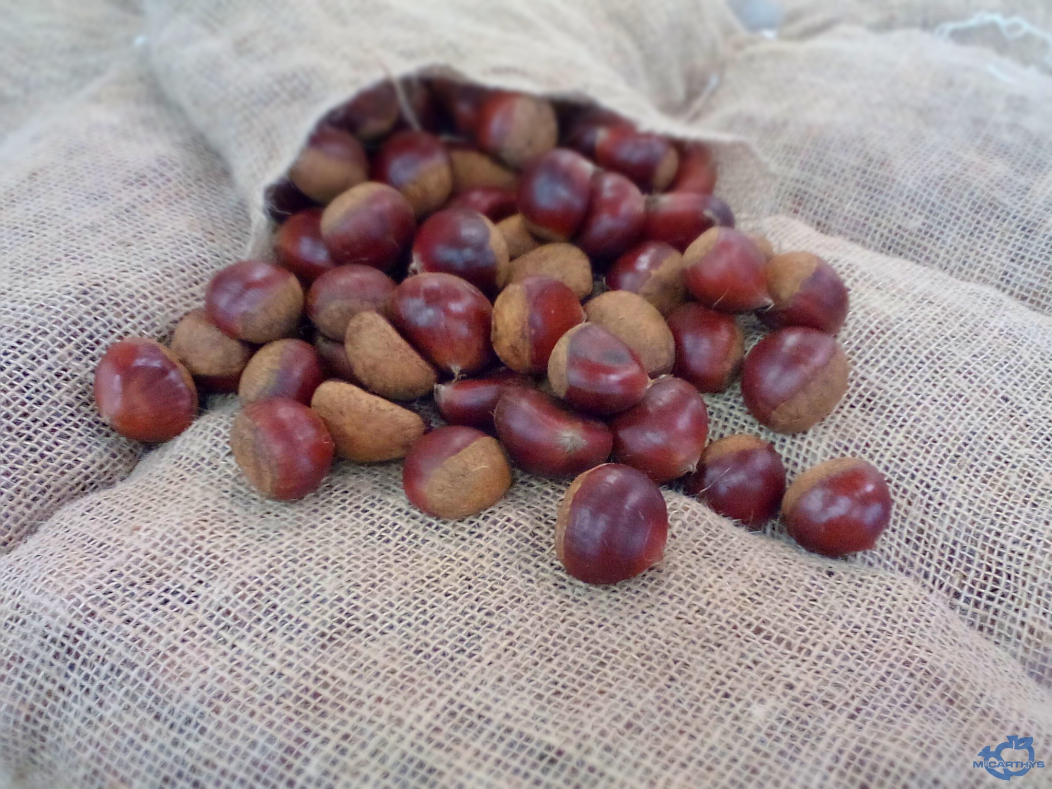 Chestnuts